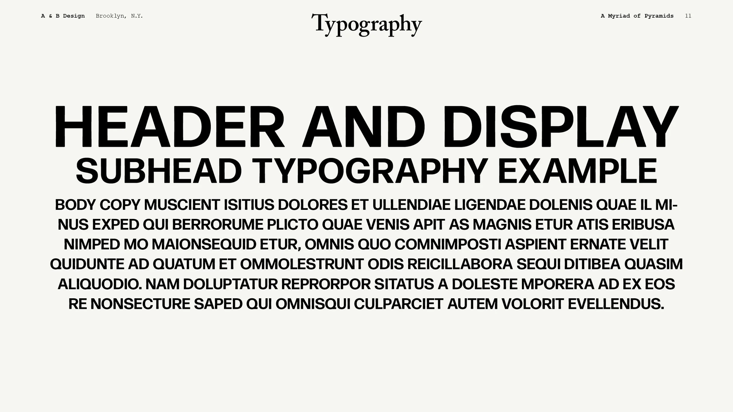 AMoP_BRANDING11.jpg
