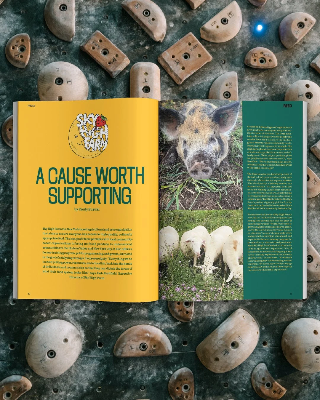 6.REED_MAG_SPREAD.jpg