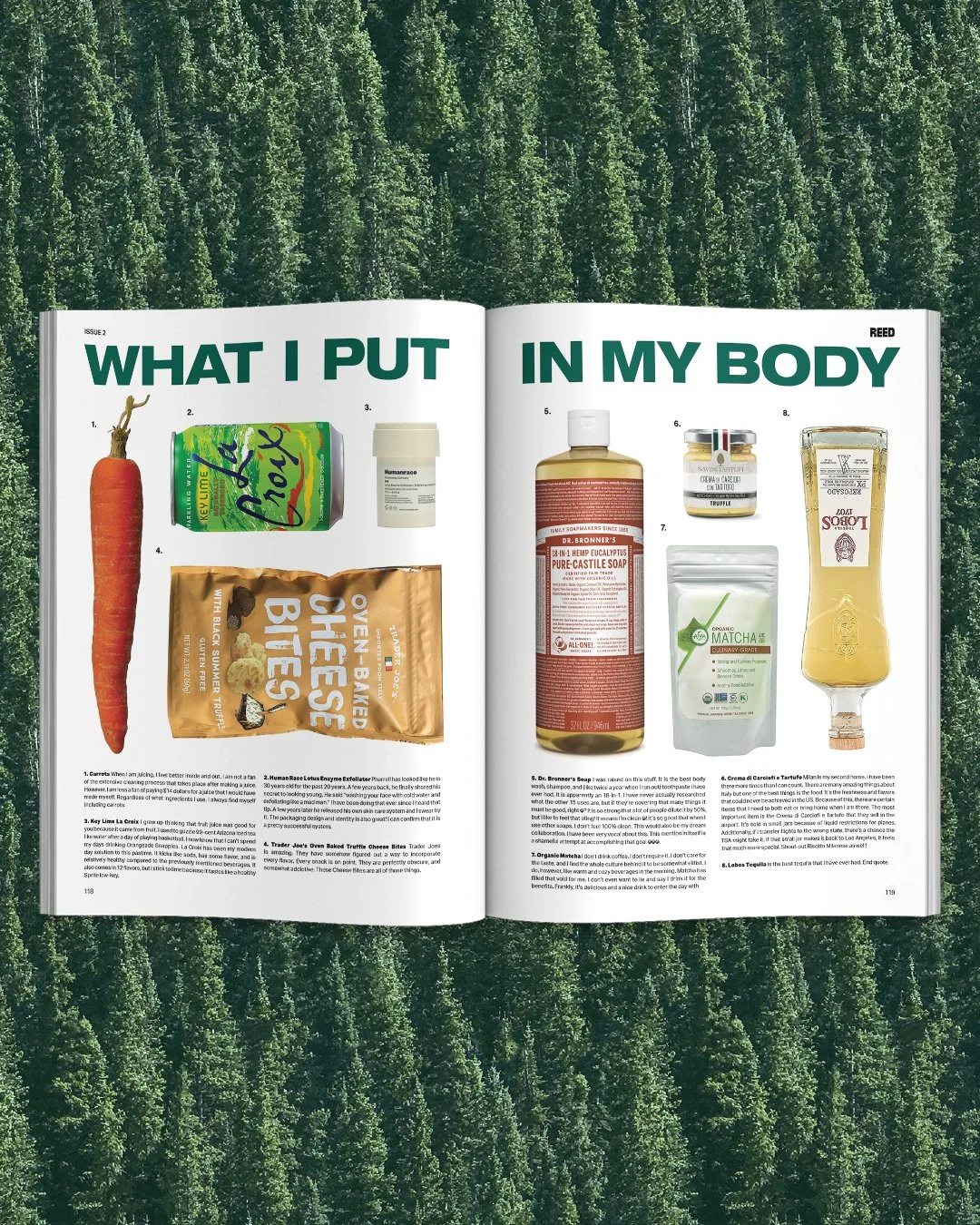 REED_MAG_SPREAD8.jpg