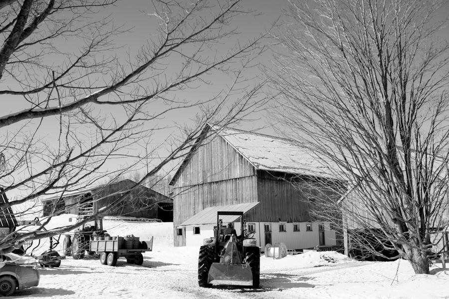 Cosman and webb farms