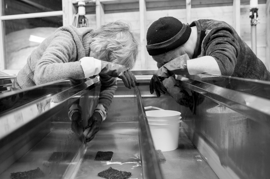 Linda & Laurie cleaning maple syrup pans