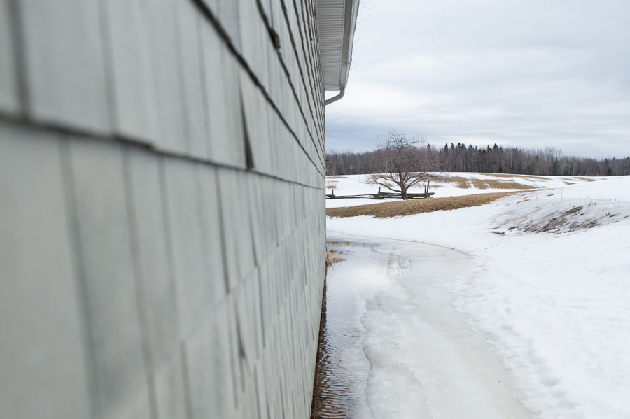 Organic Maple Syrup Farm