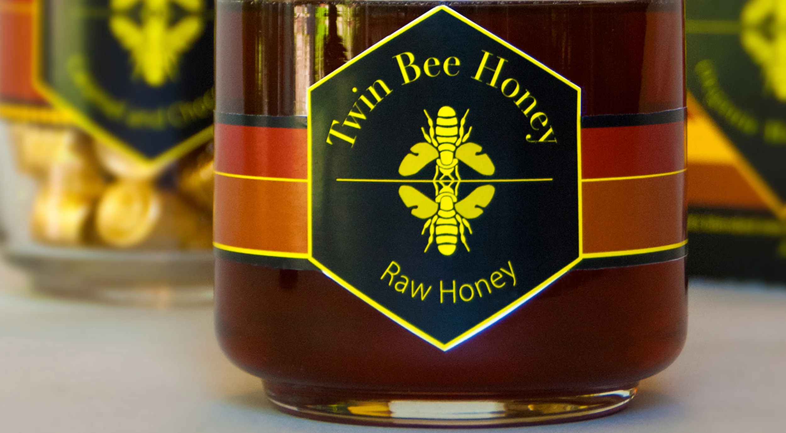 TWIN BEE INTRO IMAGE.jpg