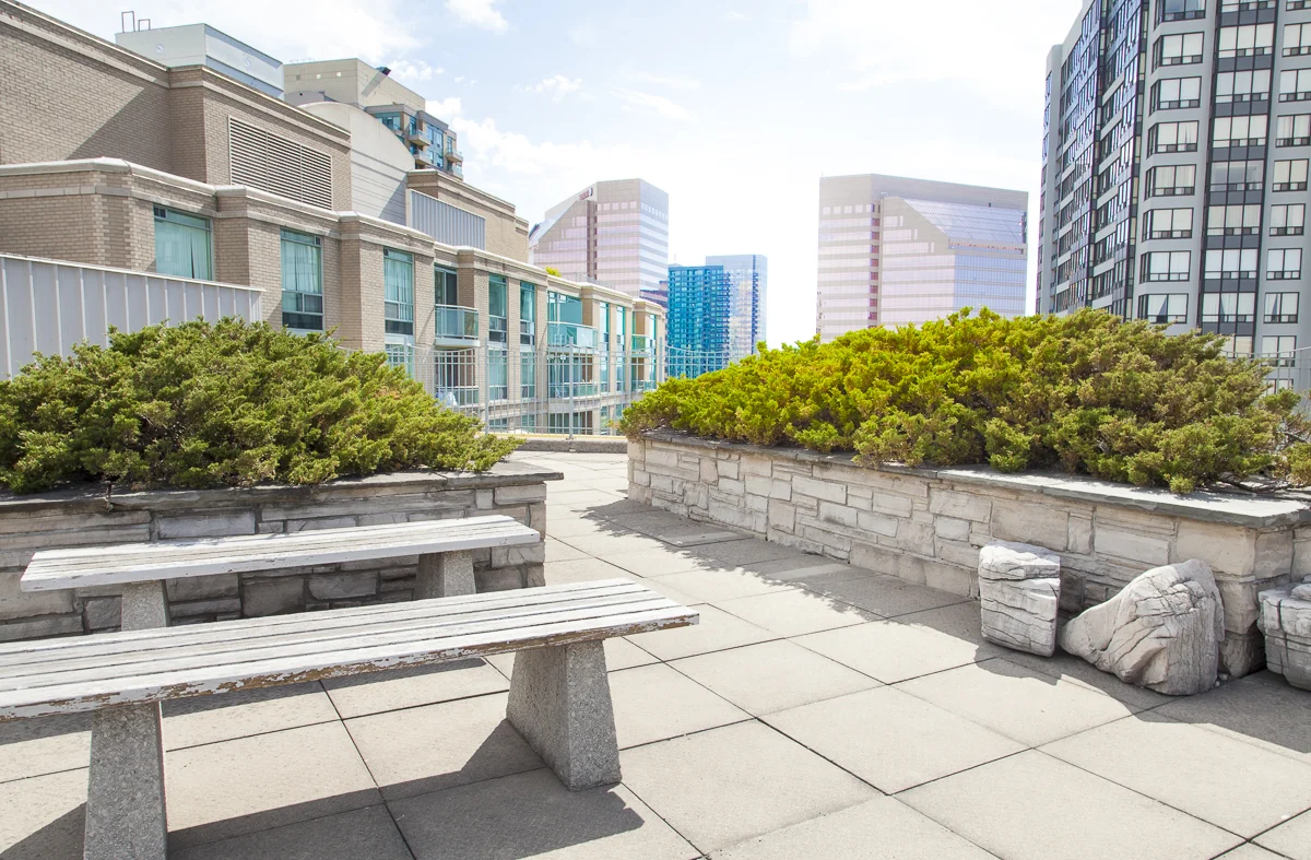 Rooftop Patio, North York Condo