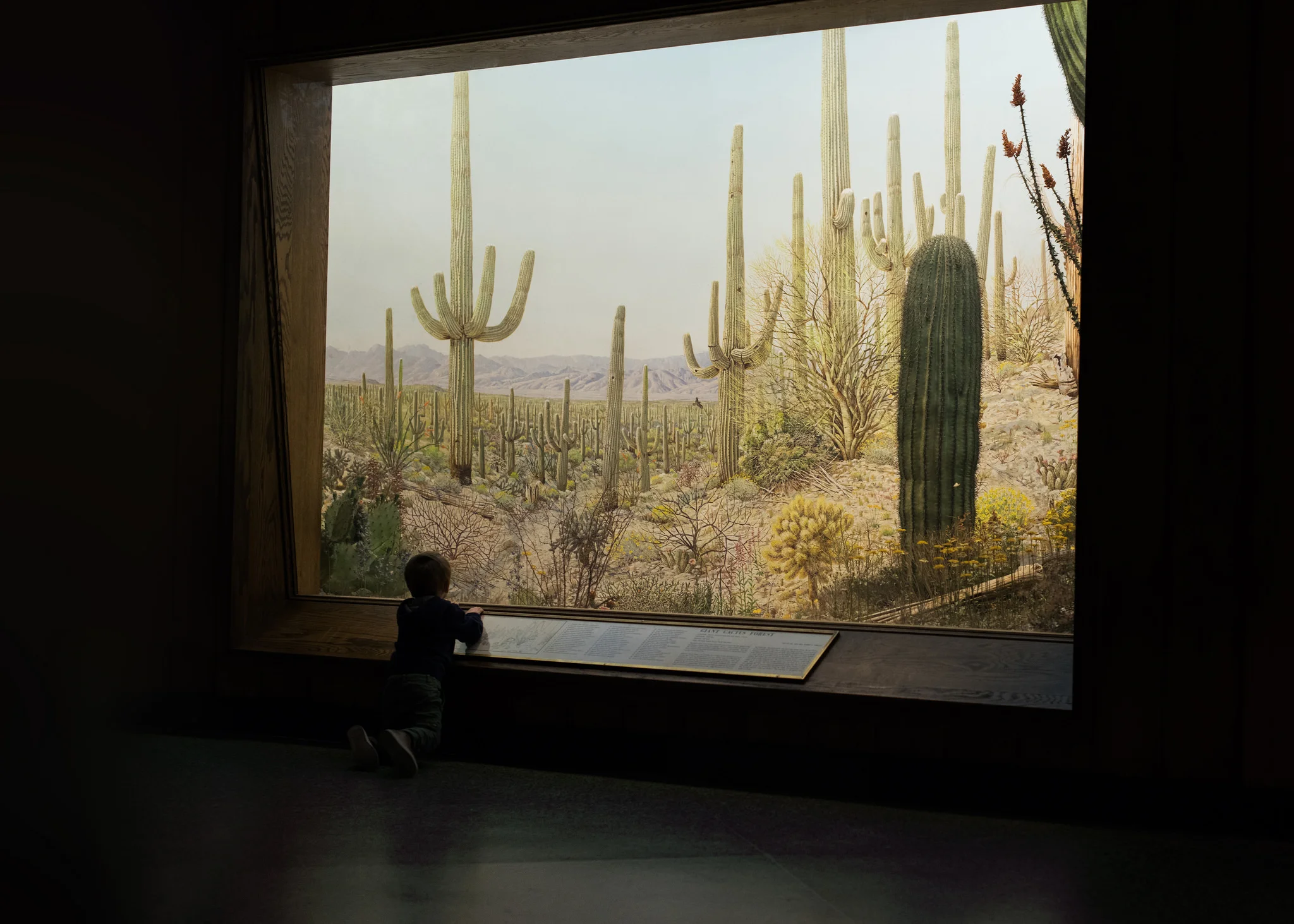 Pete at Met.jpg