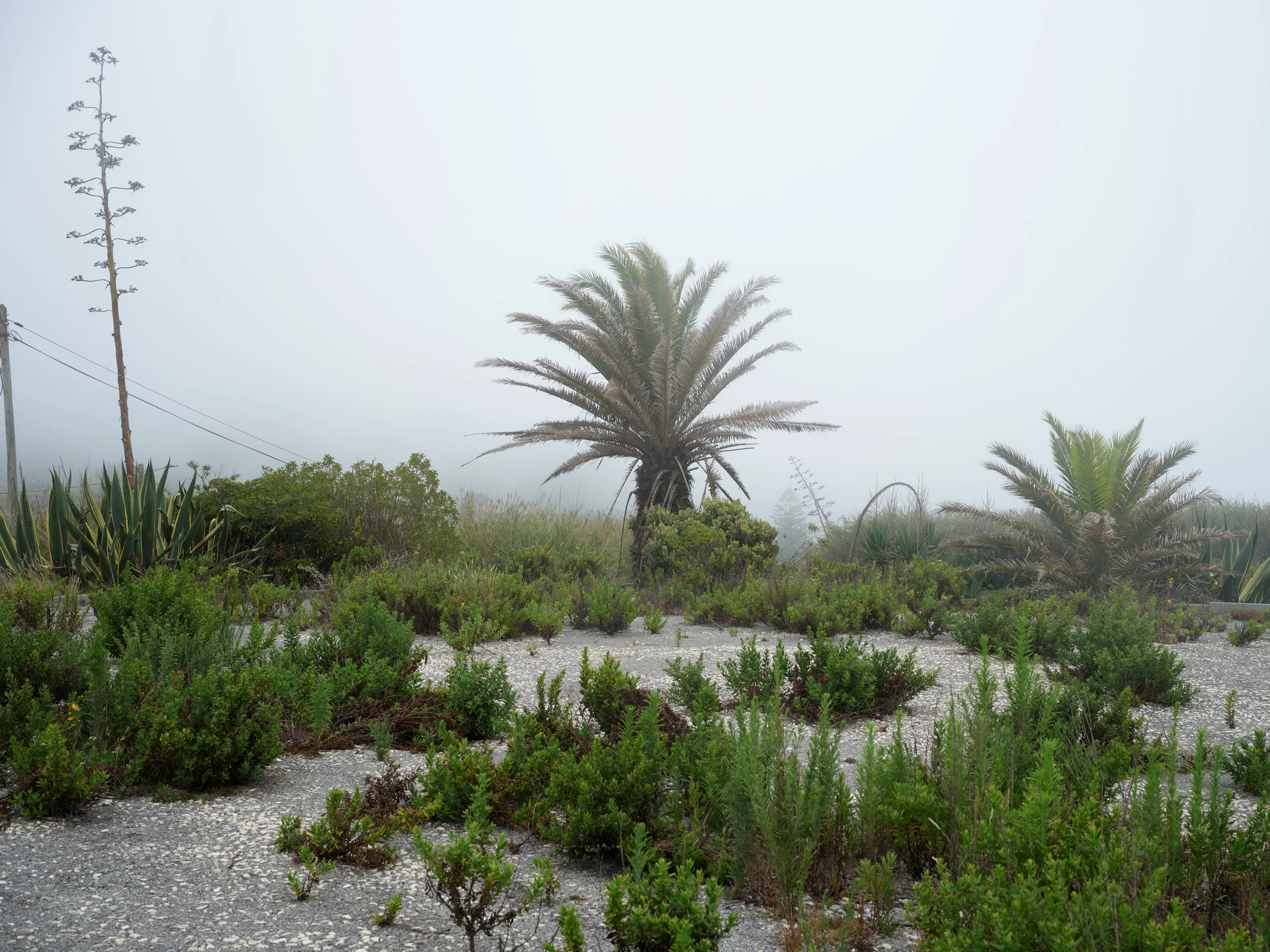 DSCF0796.jpg