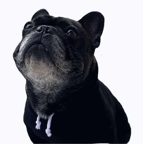 thumbnail_Screenshot 2024-11-05 at 2.20.52 PM.png