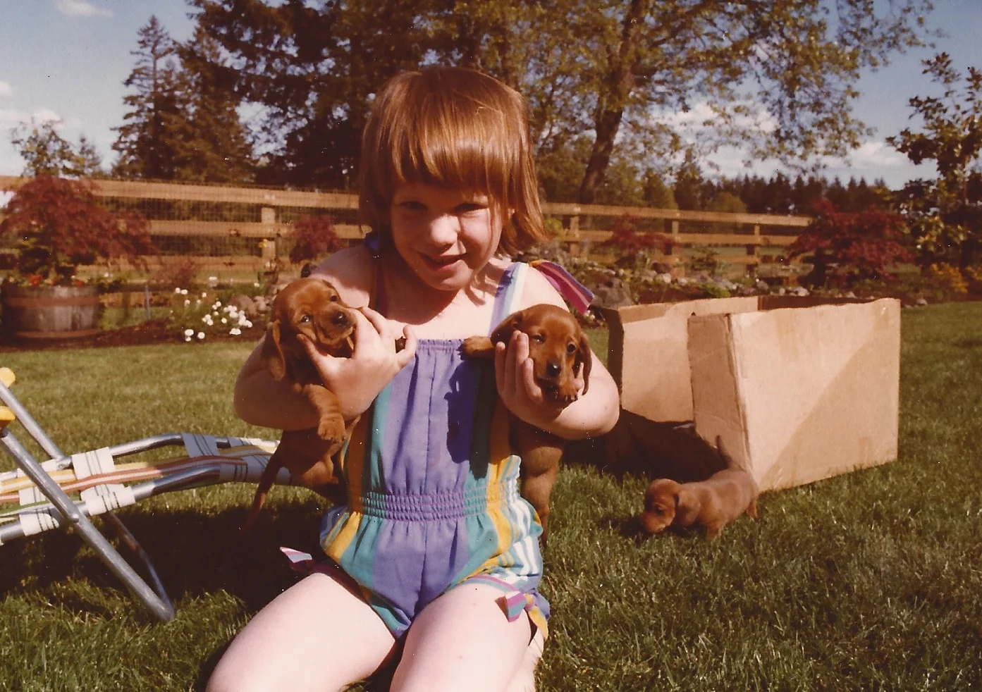Jamie with Huey, Barney and Noodle