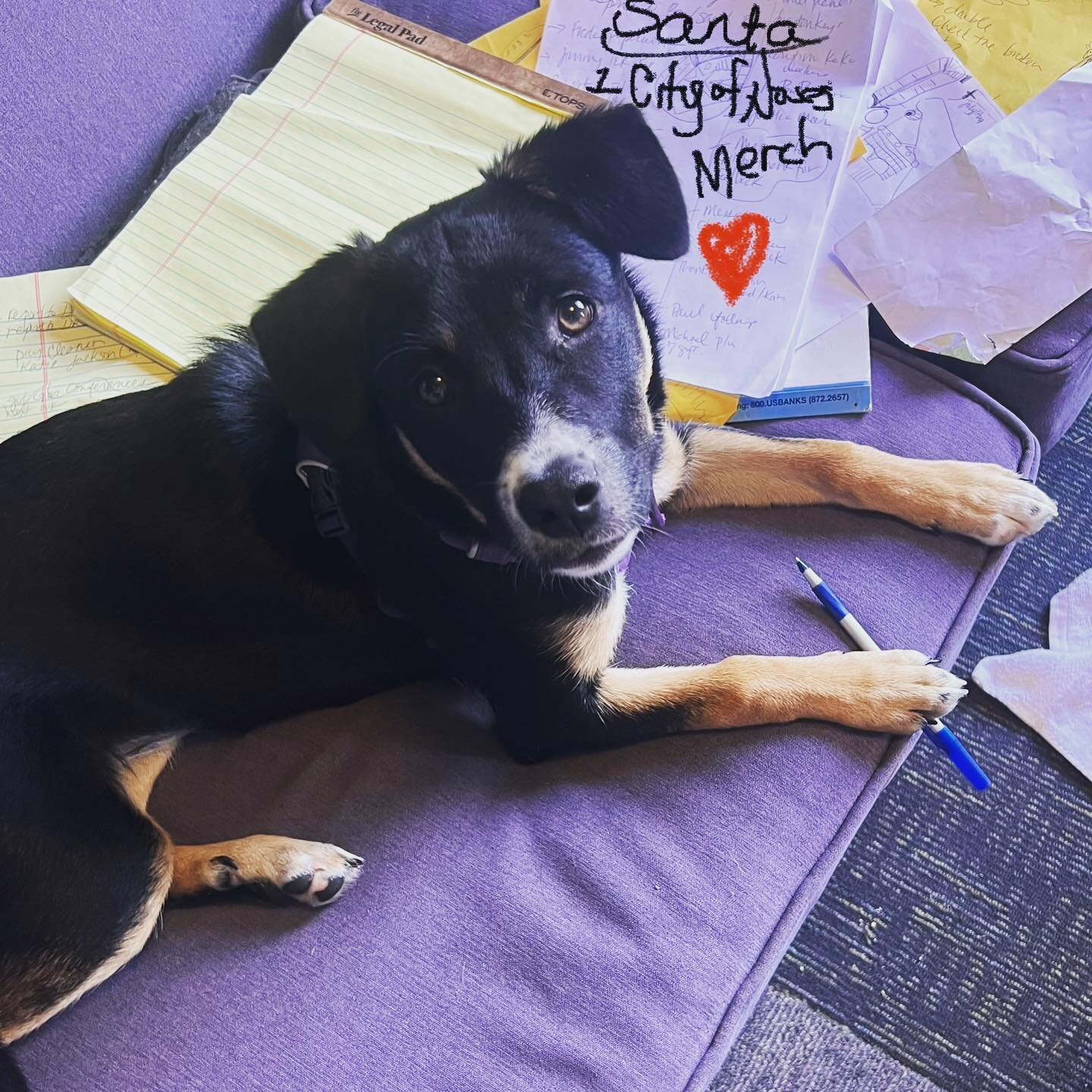 Time to make your Santa list! 🎅🏽📝🎄

Don&rsquo;t forget to include City of Noses Merch! 25% of the sales go directly to @agavedogsrescue and their efforts to unite dogs with great people and forever homes! 
 
link in bio or purchase items at both 