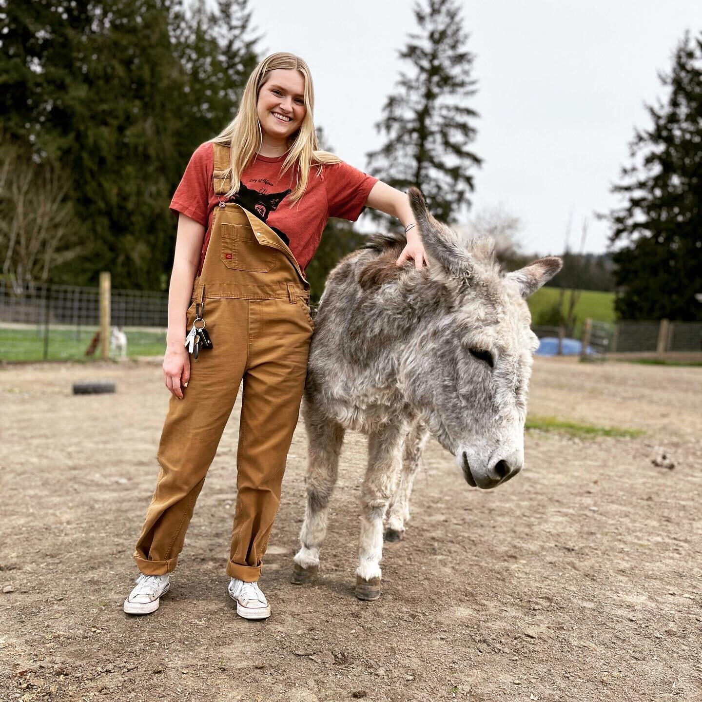 Thank you to all the fans 🥰 who have purchased both City of Noses/Donkey Merch. We will be donating 2k to the amazing folks @oregon_donkey_sanctuary_nw 
but....we still have both donkey t-shirts and candles available! 👕🕯️🔥

soooooo
For the rest o