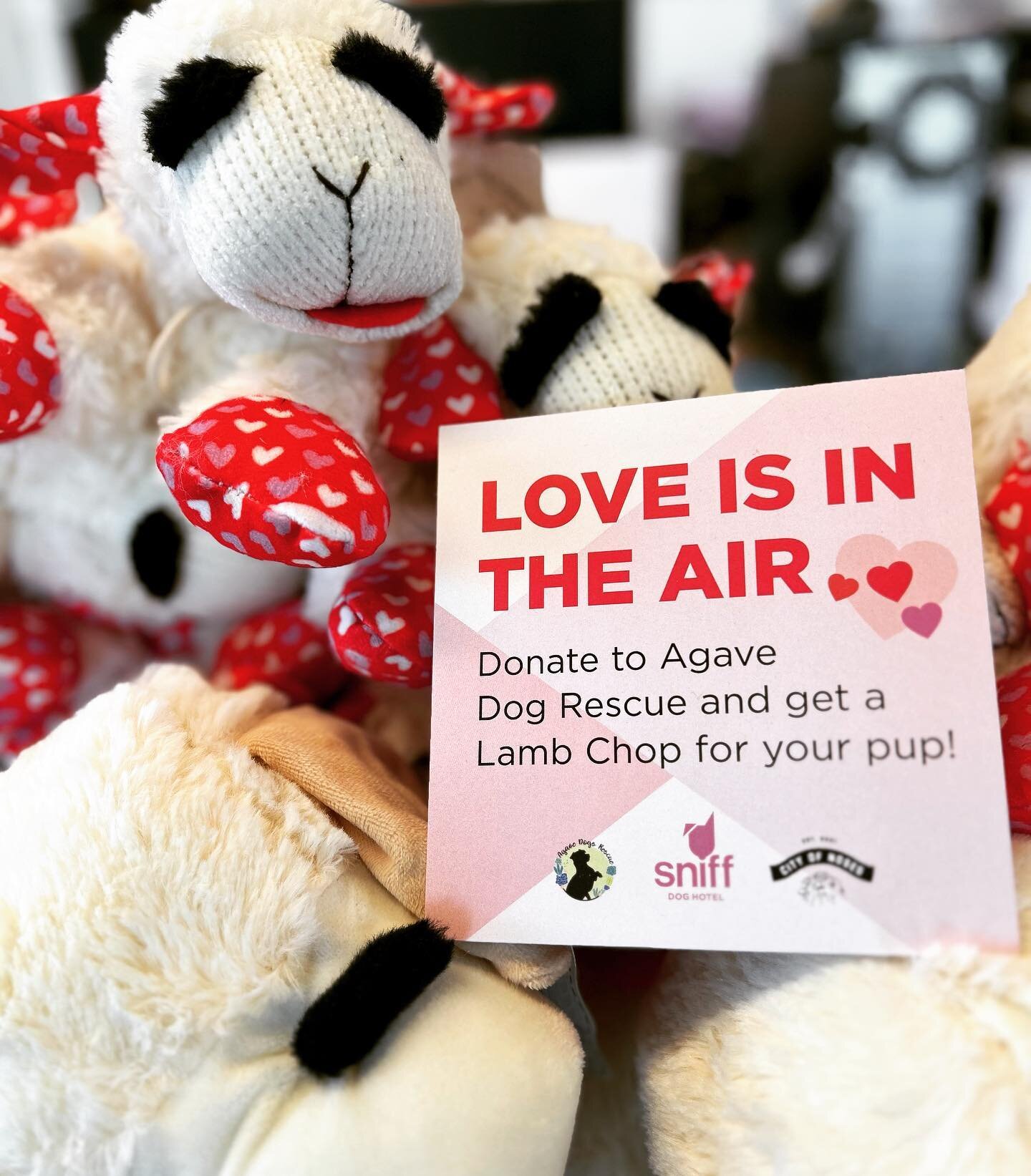 Share the love 💕 with @agavedogsrescue next time you&rsquo;re at @sniffdoghotel @sniffdoghotelbeaverton and take home this lil v-day lamb chop for your pup 💝🐶
