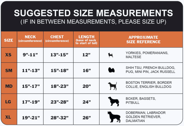 thumbnail_Screenshot 2024-11-05 at 2.18.59 PM.png