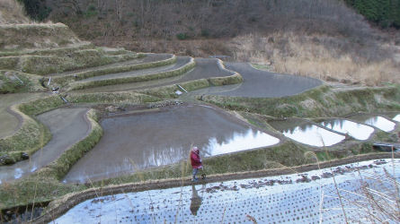 Photo 4 : Many residents are now older people living a difficult and solitary existence ...