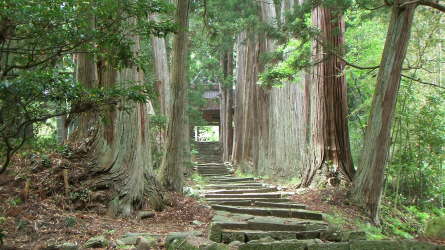 Photo 21 : And the island's temples and shrines remain an attraction.