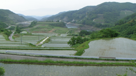 Photo 22 : Some return to Sado to live a more simple life working in agriculture.