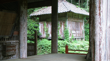 Photo 24 : ... buildings slowly succumb to natural succession.
