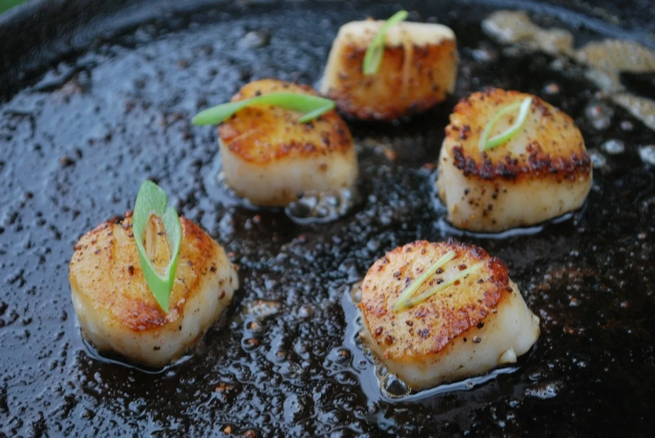 Scallops