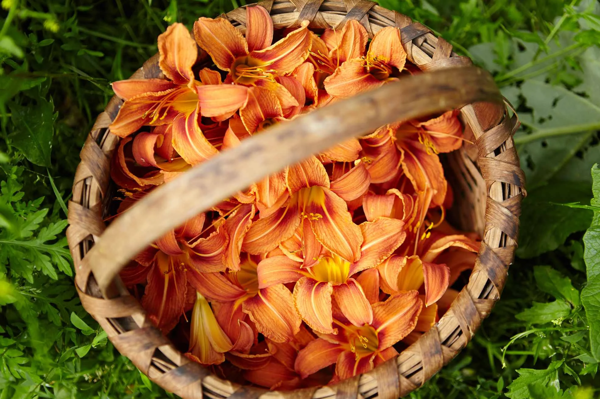 IMG_3046_Three_Lily_Retreat web.jpg