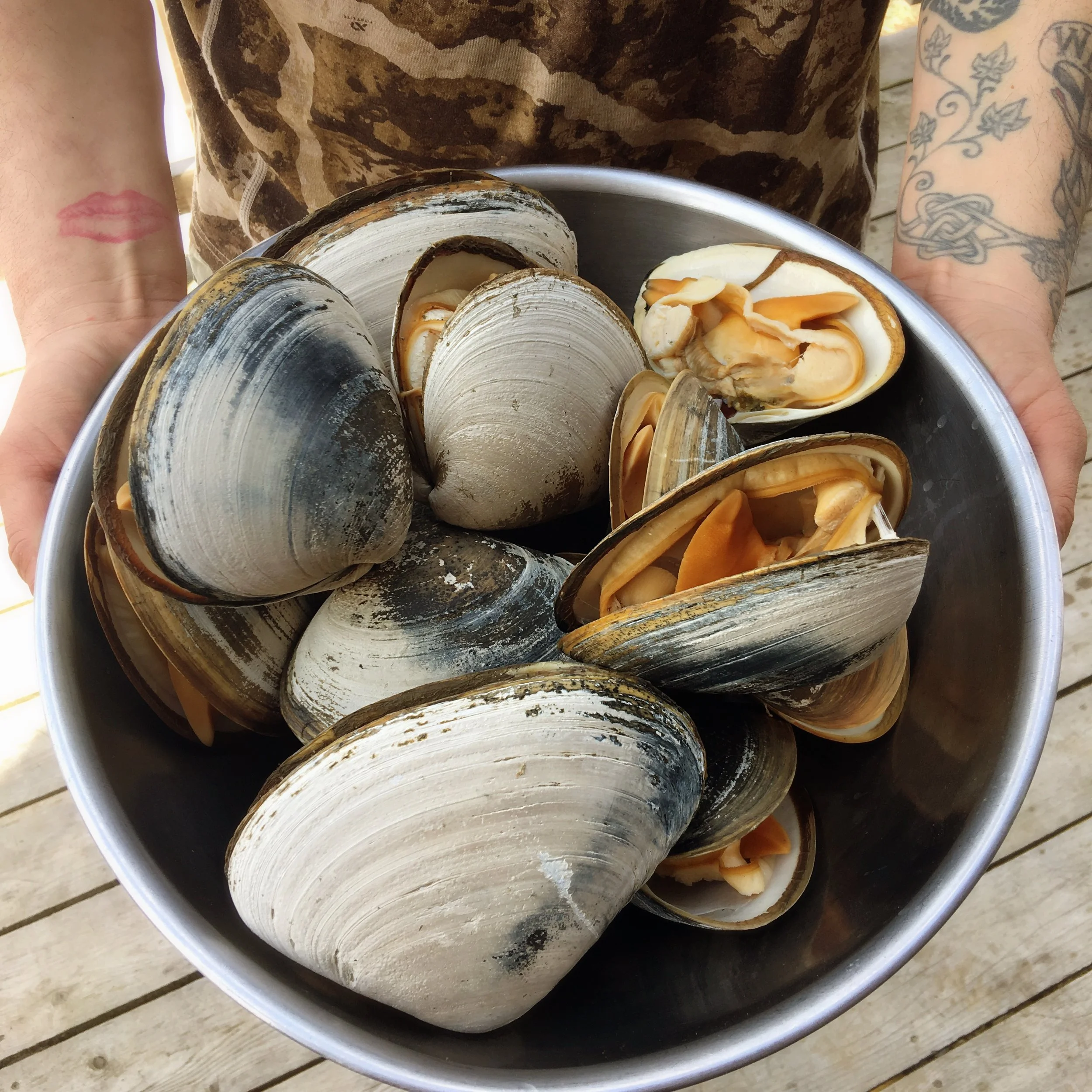 Rhode Island Style Clam Chowdah