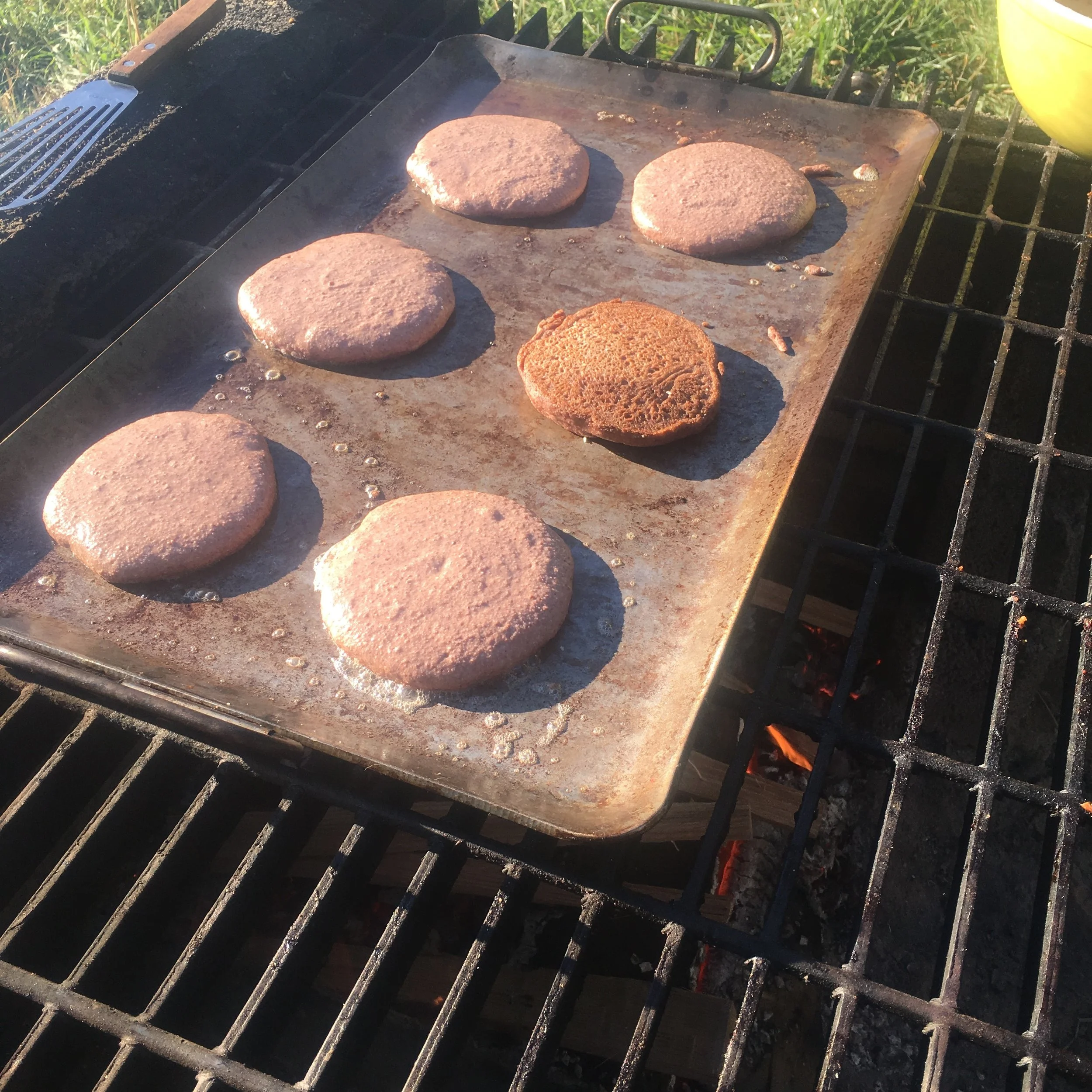 The Acorn Files ~ Sourdough Pancakes 