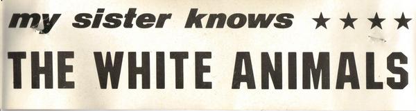 White Animals Bumper Sticker, 1978