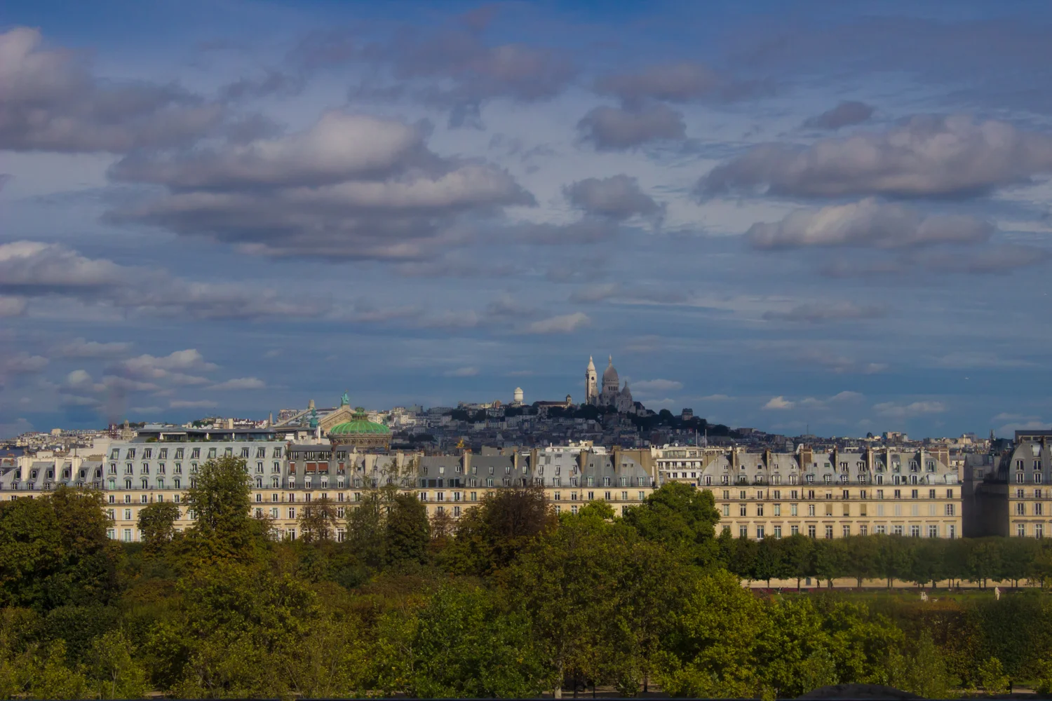 IMG_6378.jpg