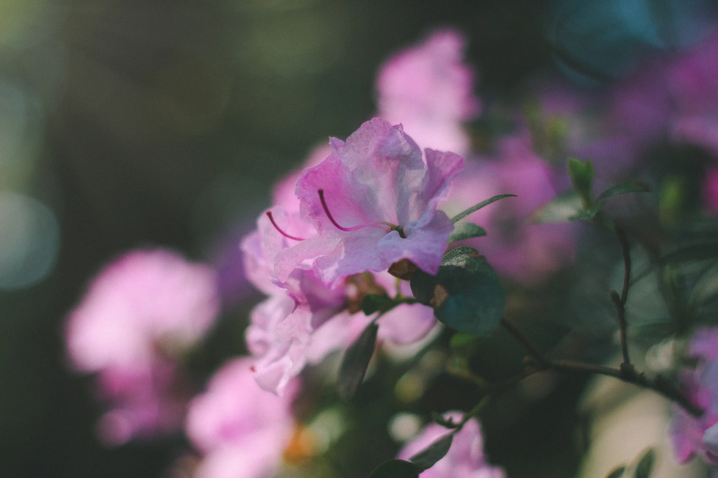 IMG_8301-Edit.jpg