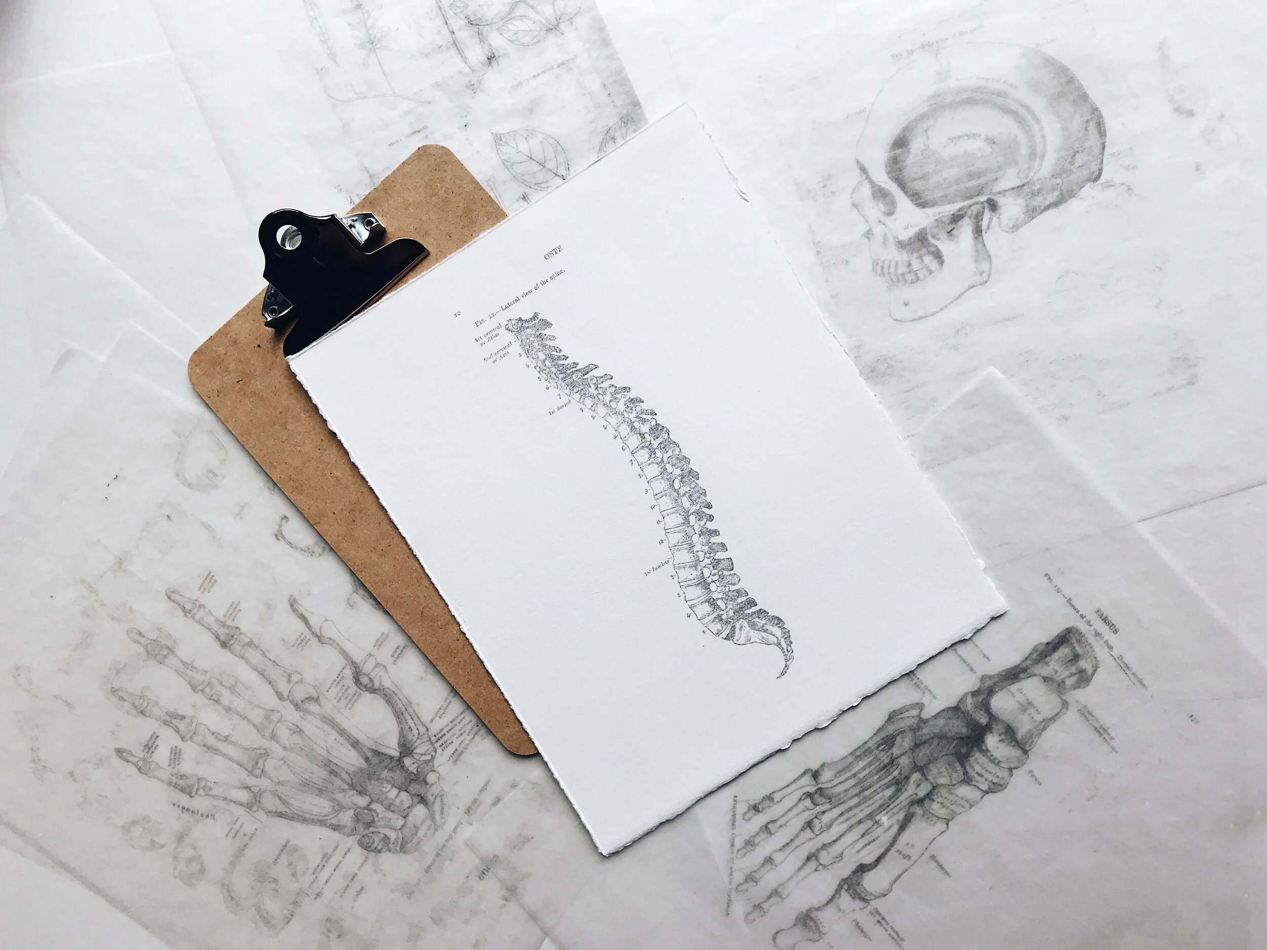 The Anatomy of a Winning Entry Level Resume