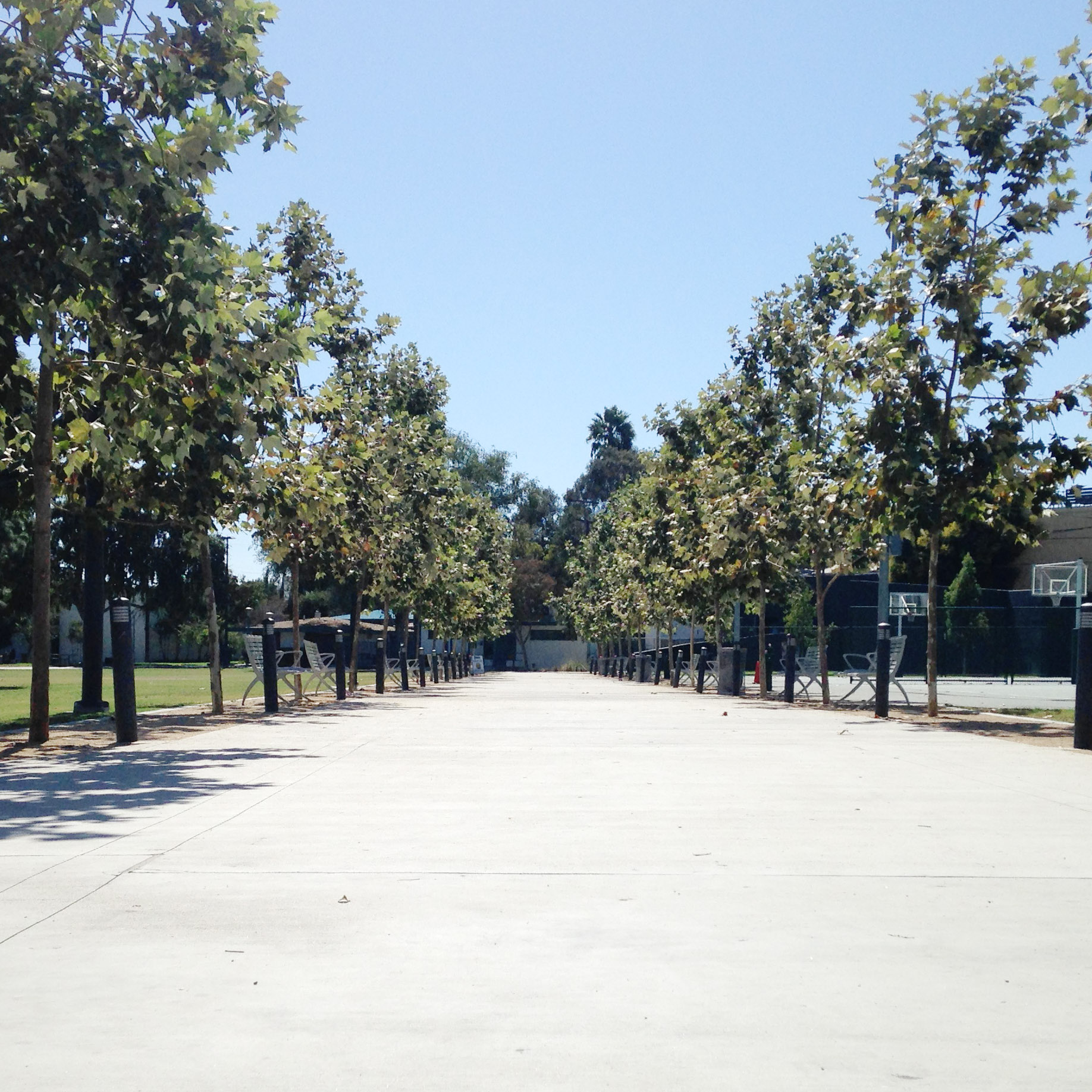 It's like 100 degrees out here right now. I could roll a bowling ball down the center of this park right now.