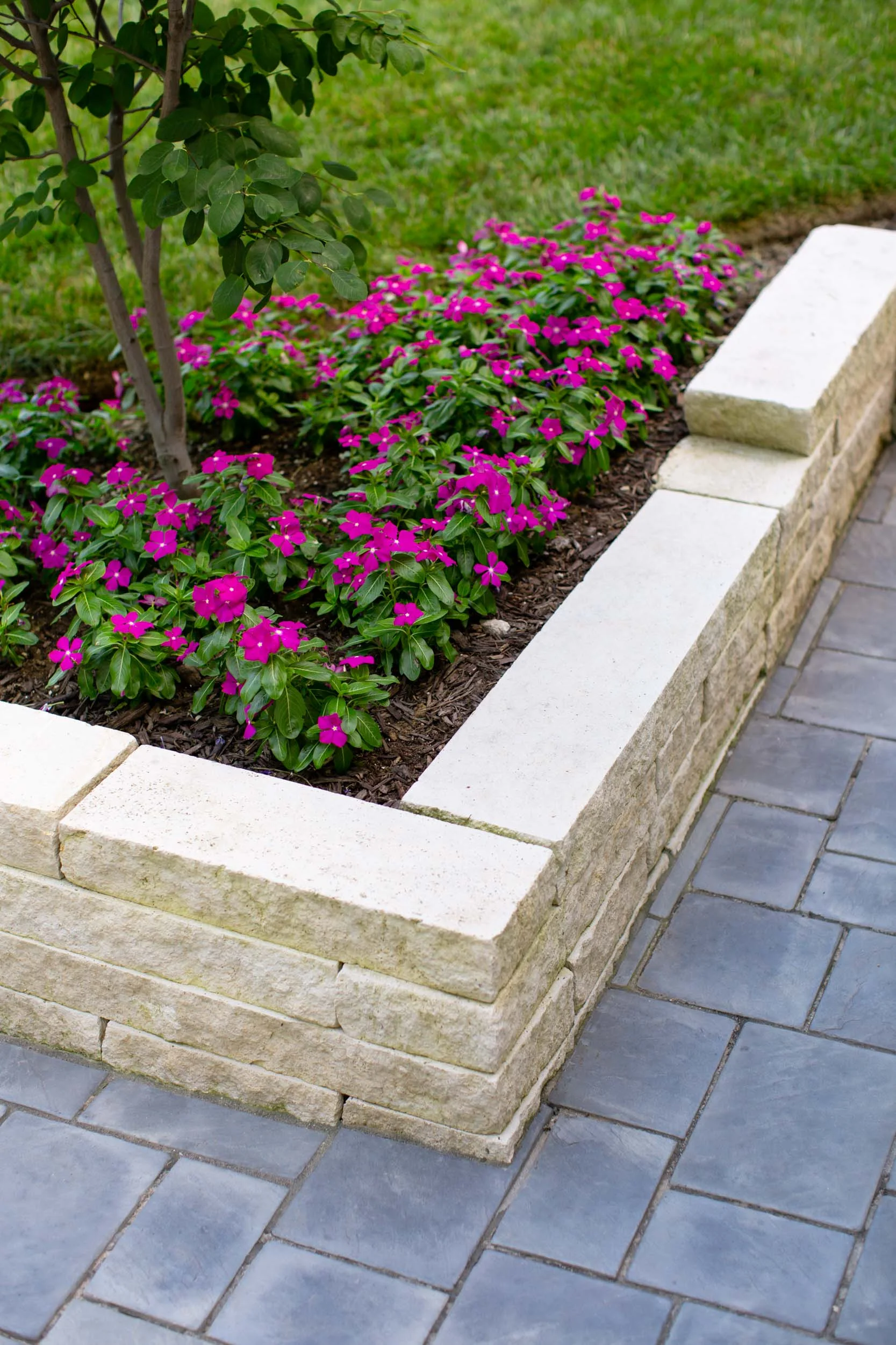 20150721_cc_4885.jpg
