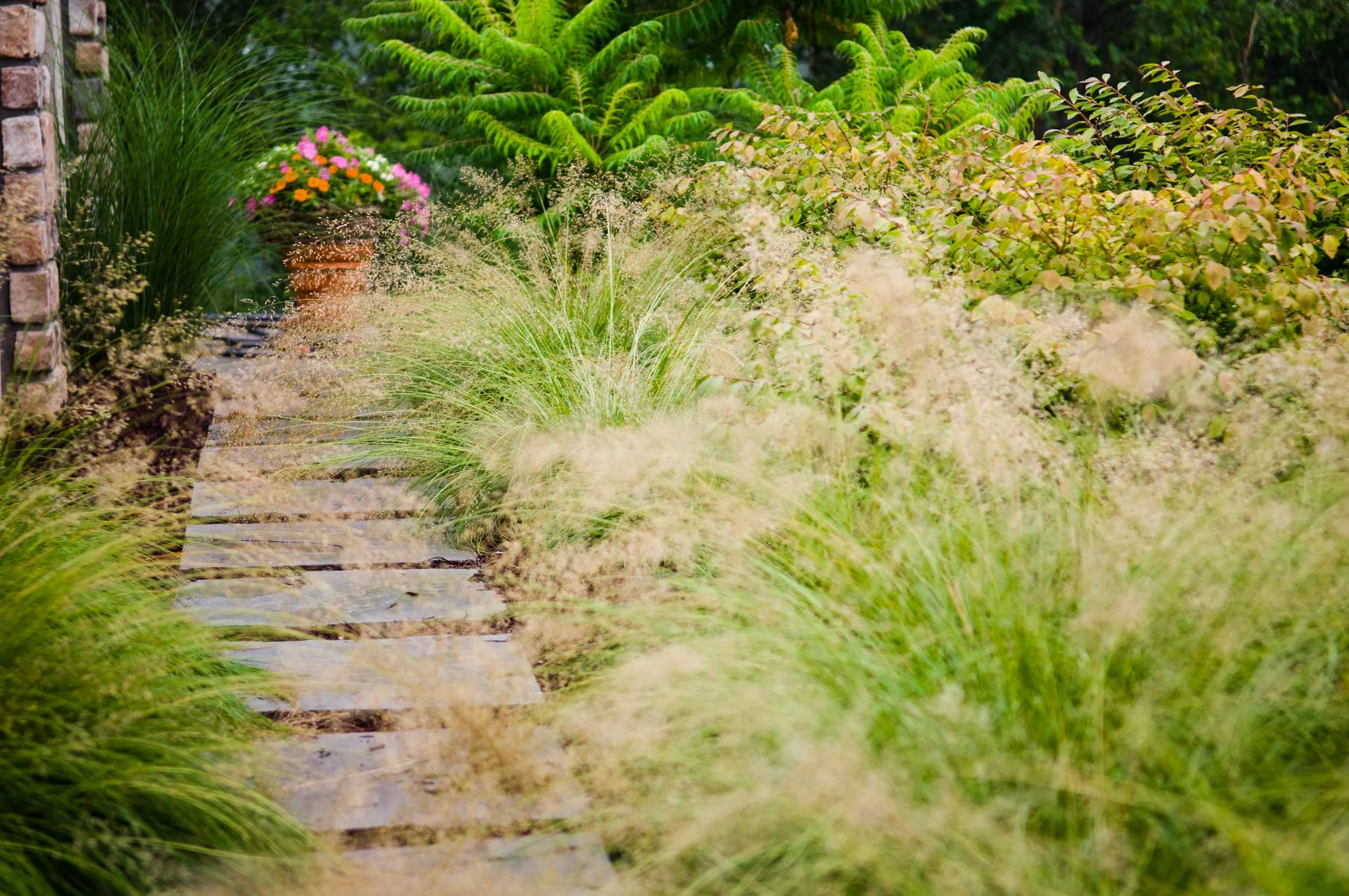 20080725_cc_073.jpg
