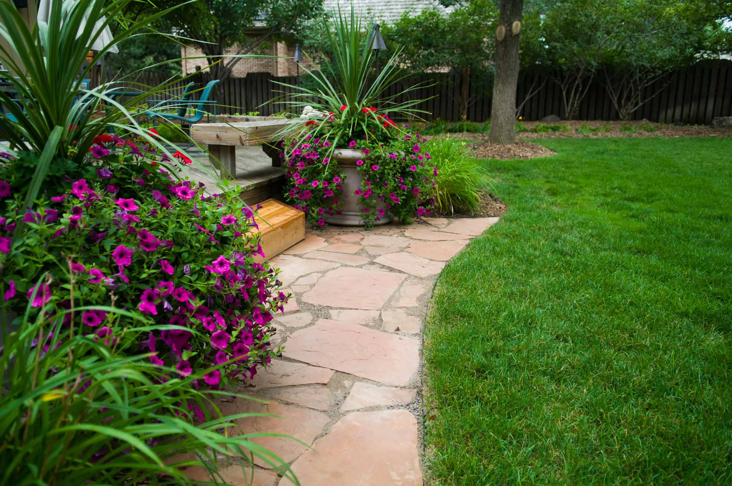 20080725_cc_105.jpg