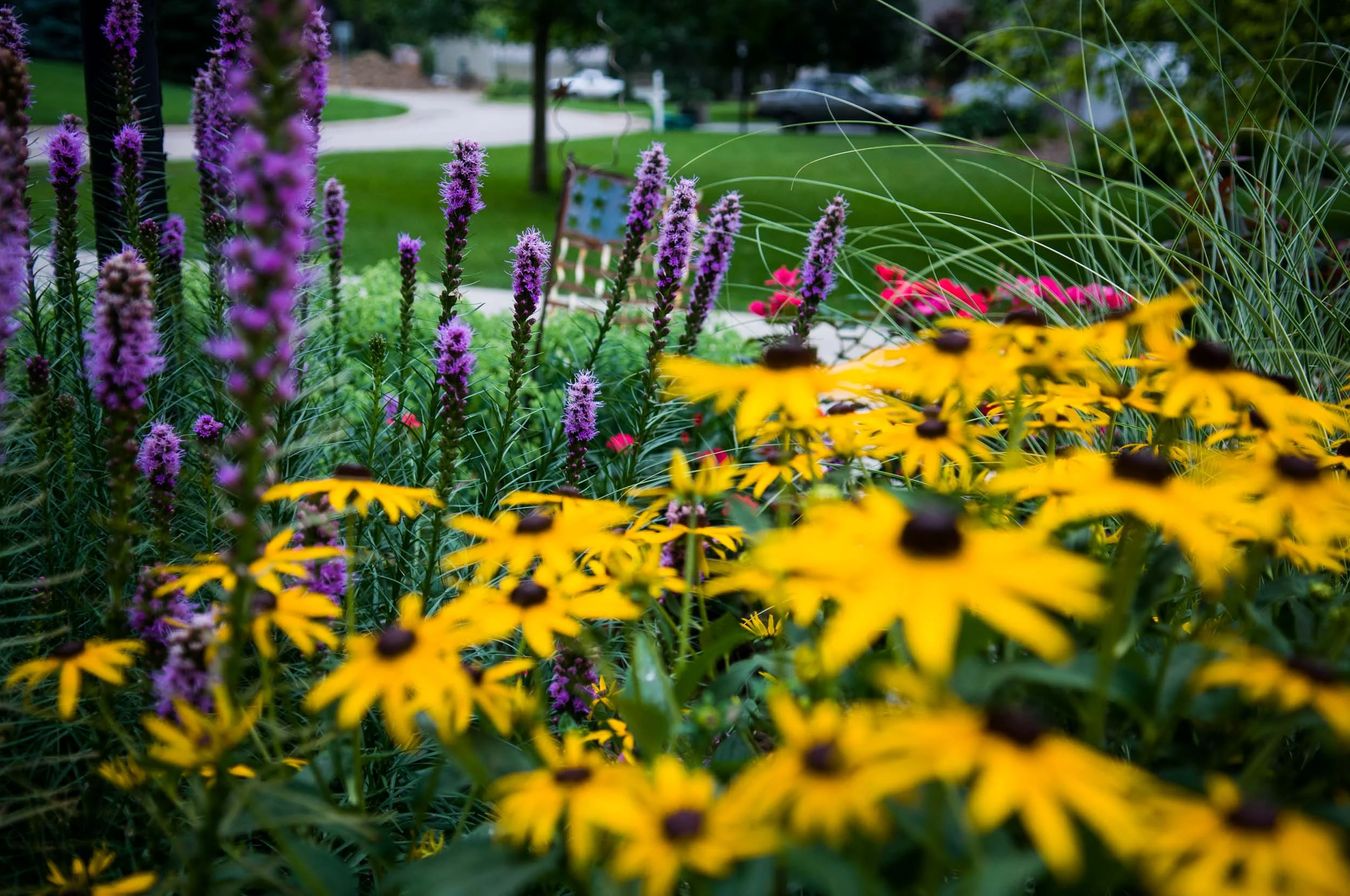 20080725_cc_247.jpg