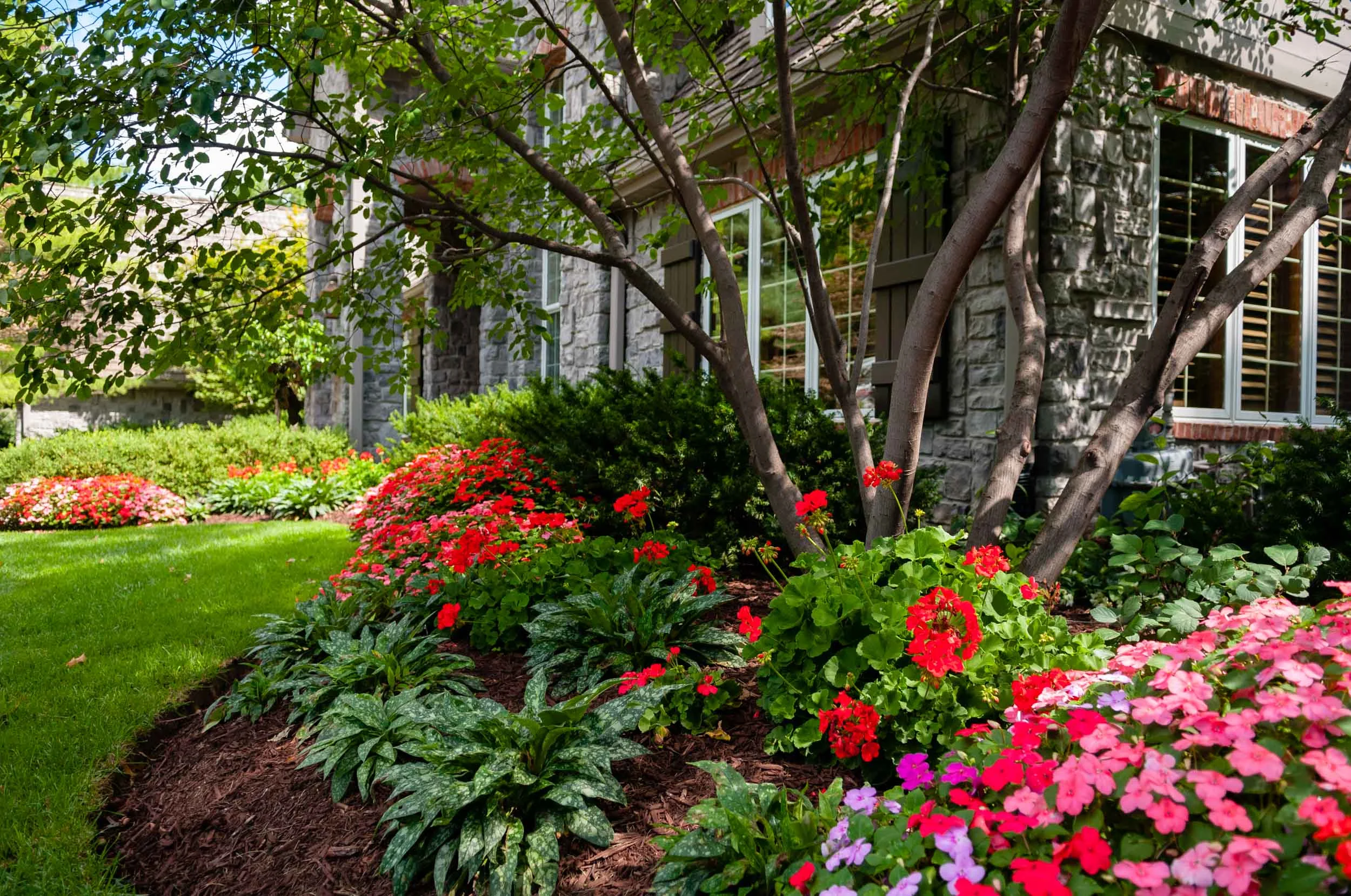 20090828_cc_3166.jpg
