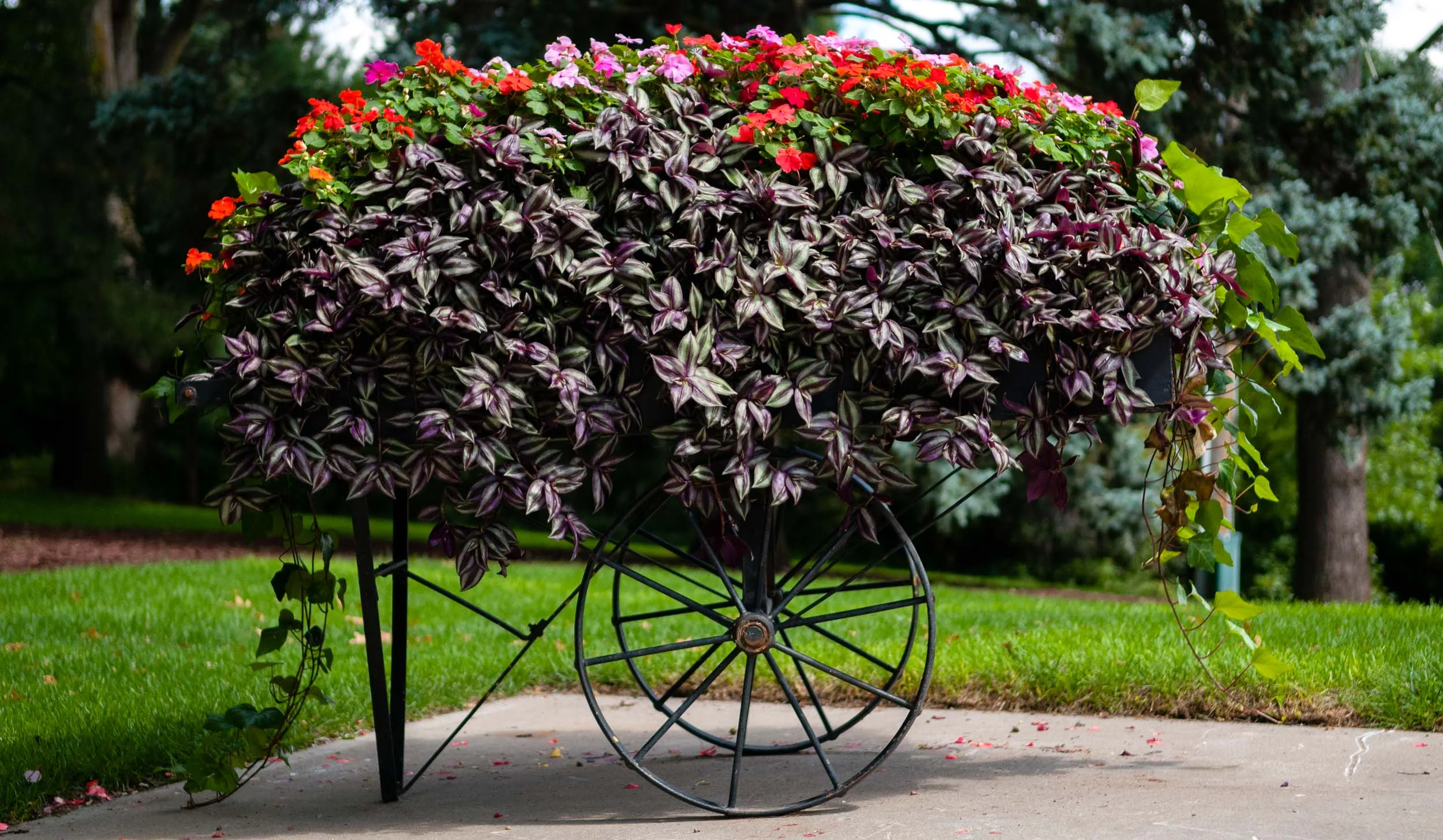 20090828_cc_3204.jpg