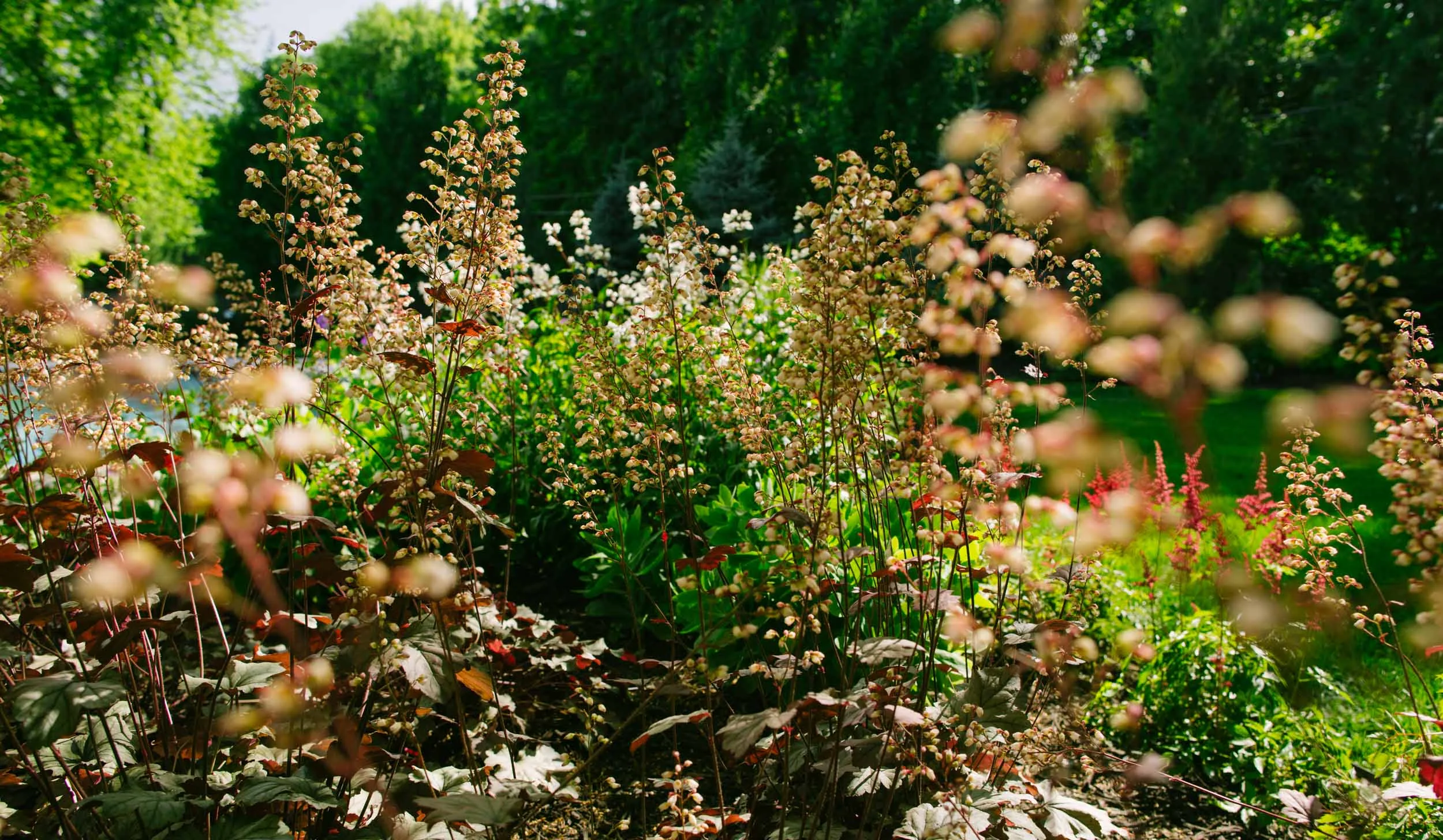 20150610_cc_3077.jpg