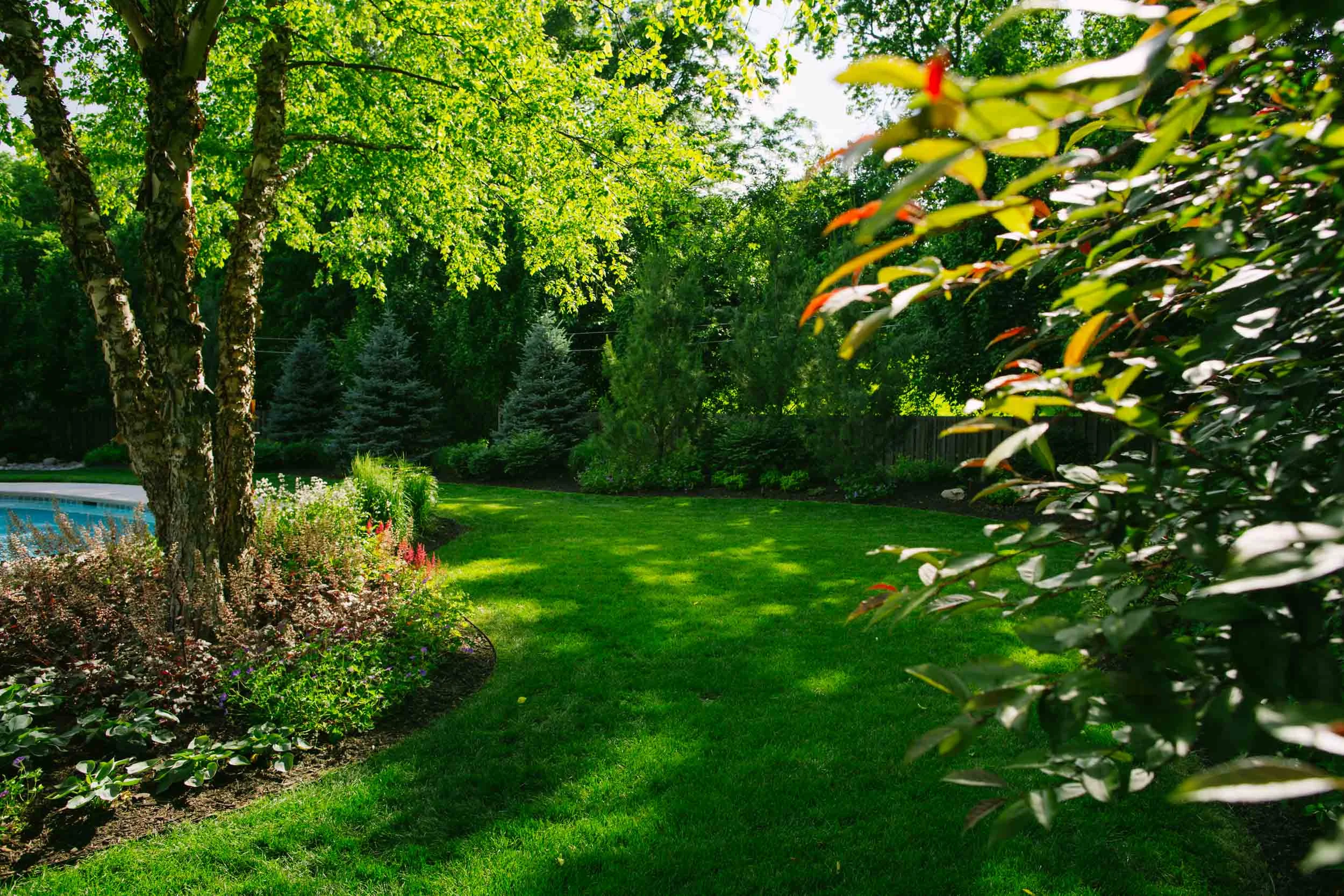 20150610_cc_3091.jpg