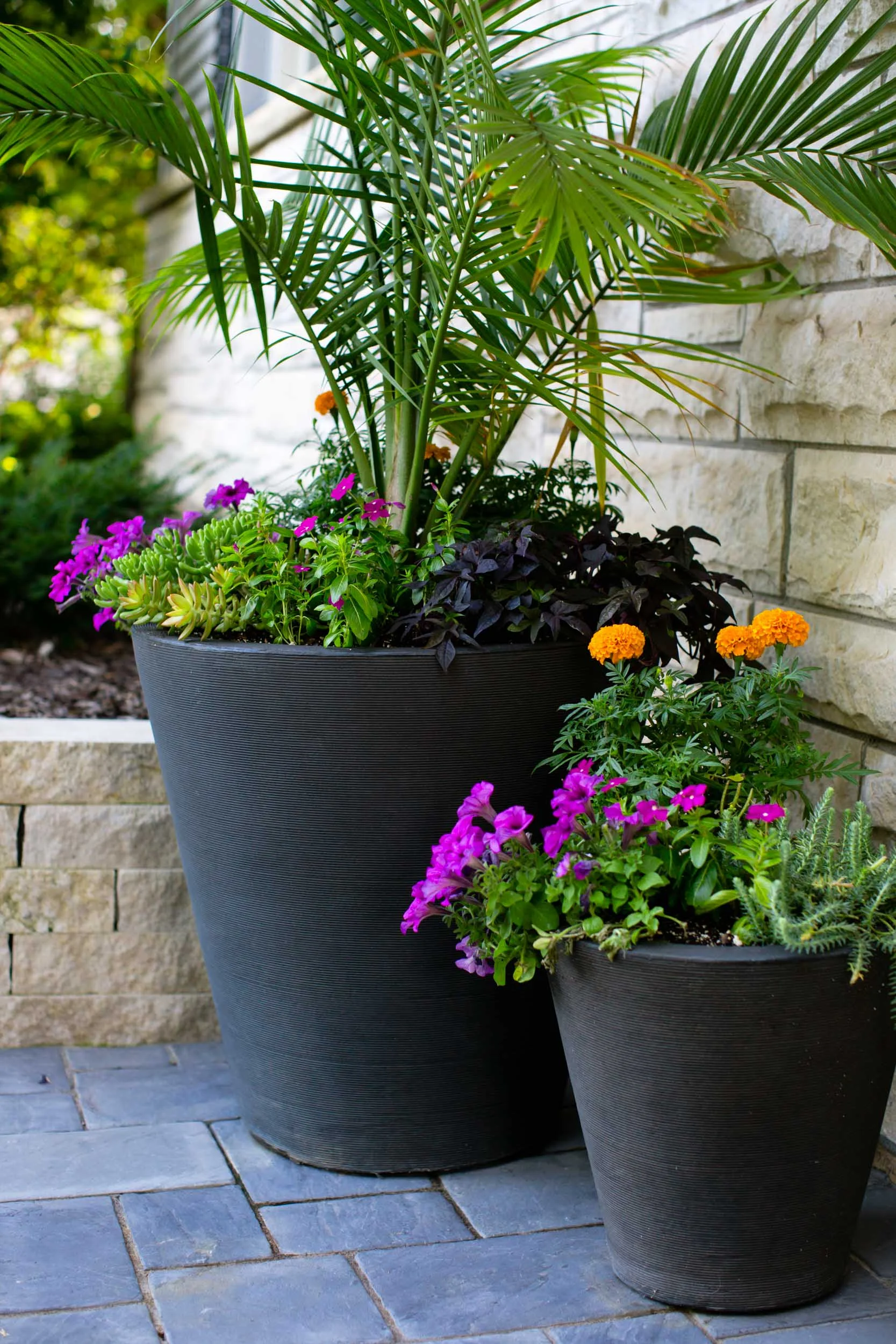 20150721_cc_4877.jpg