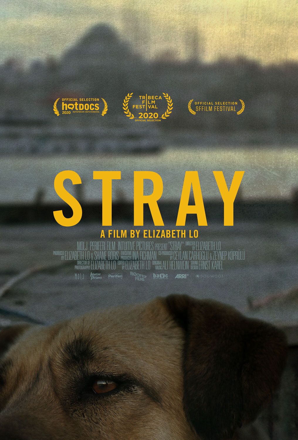 Stray