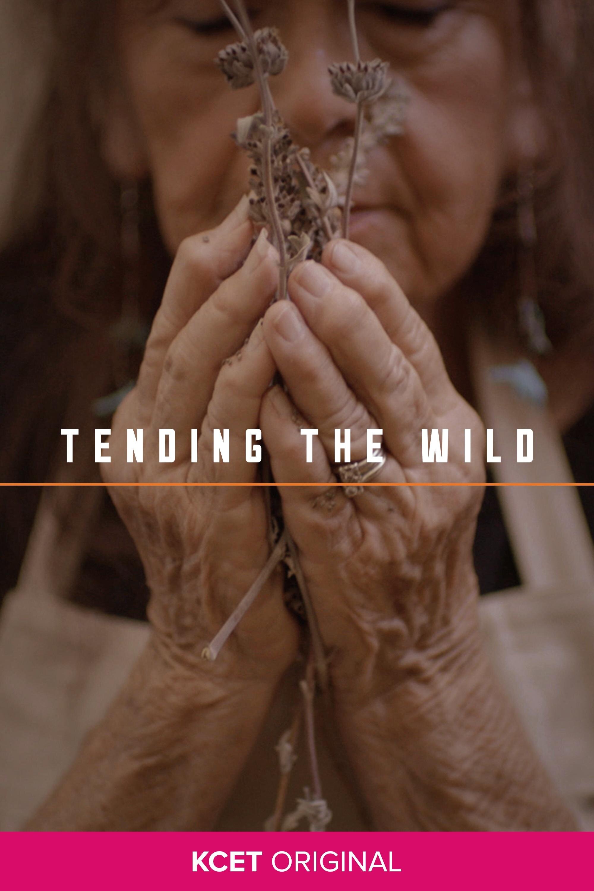 Tending The Wild