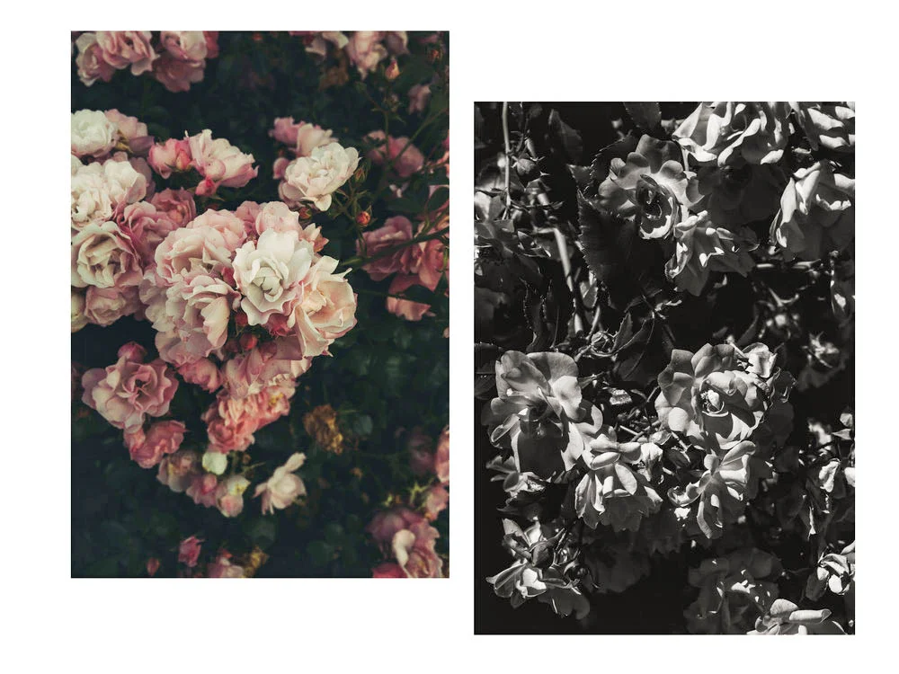 flora_france_1.jpg