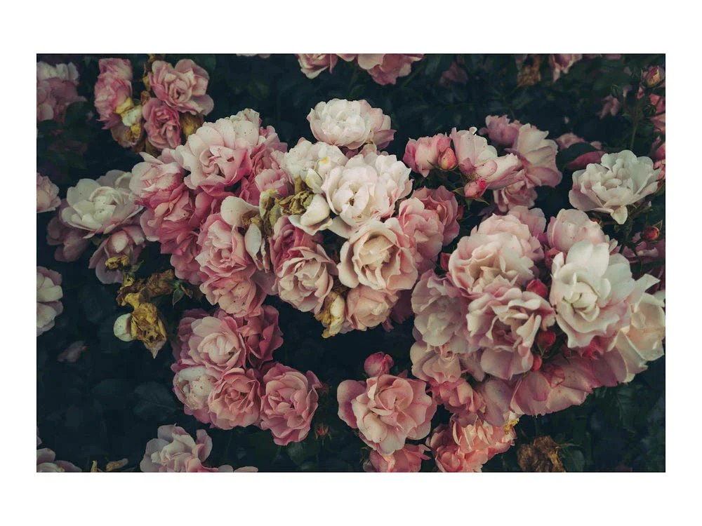 flora_france.jpg