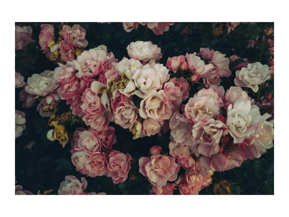 flora_france.jpg
