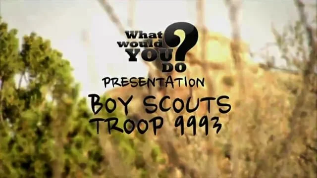 What Would You Do? Gay Boy Scouts
