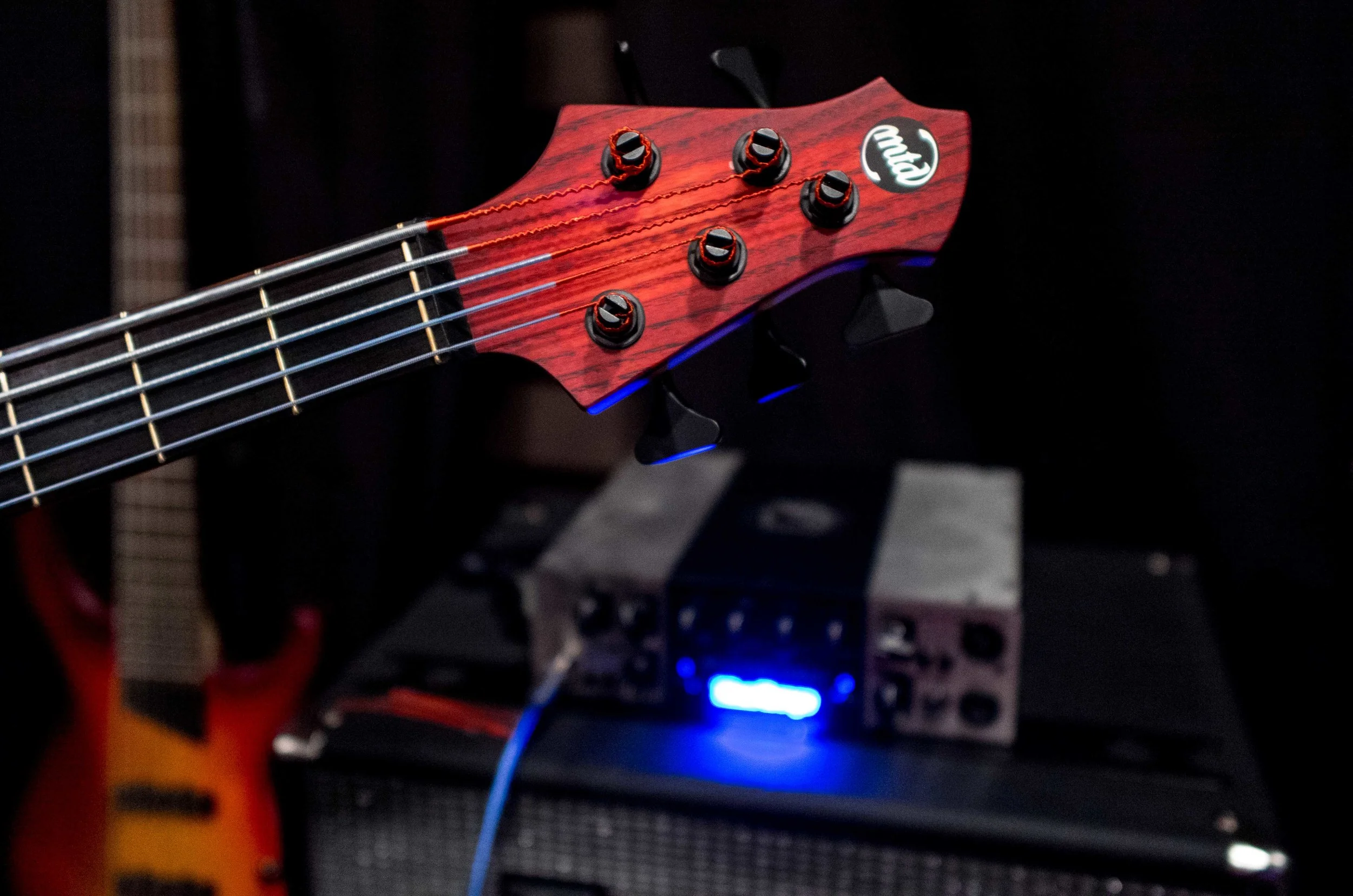 Bass Player Live! 2014