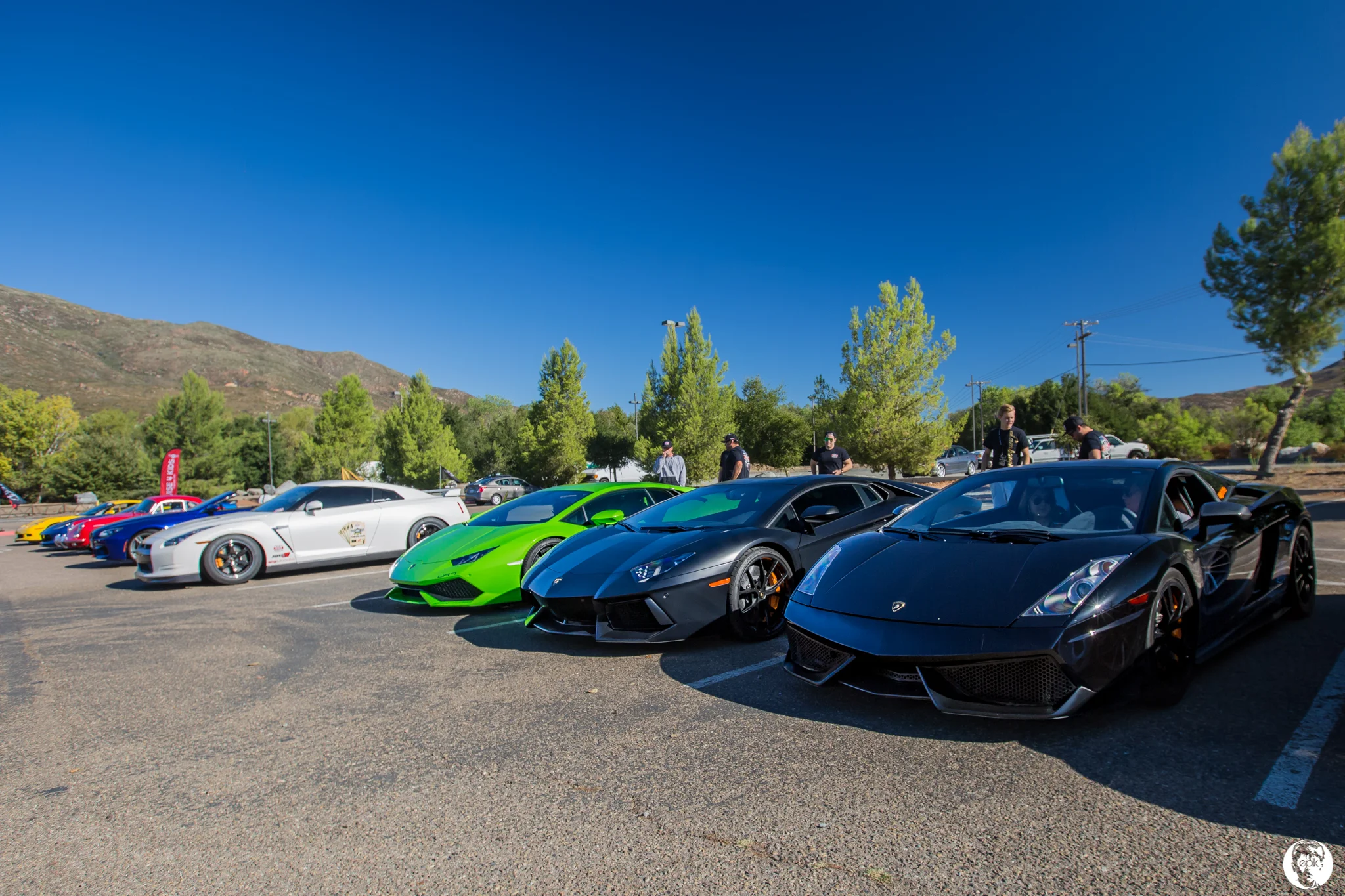 6R2B9113.jpg