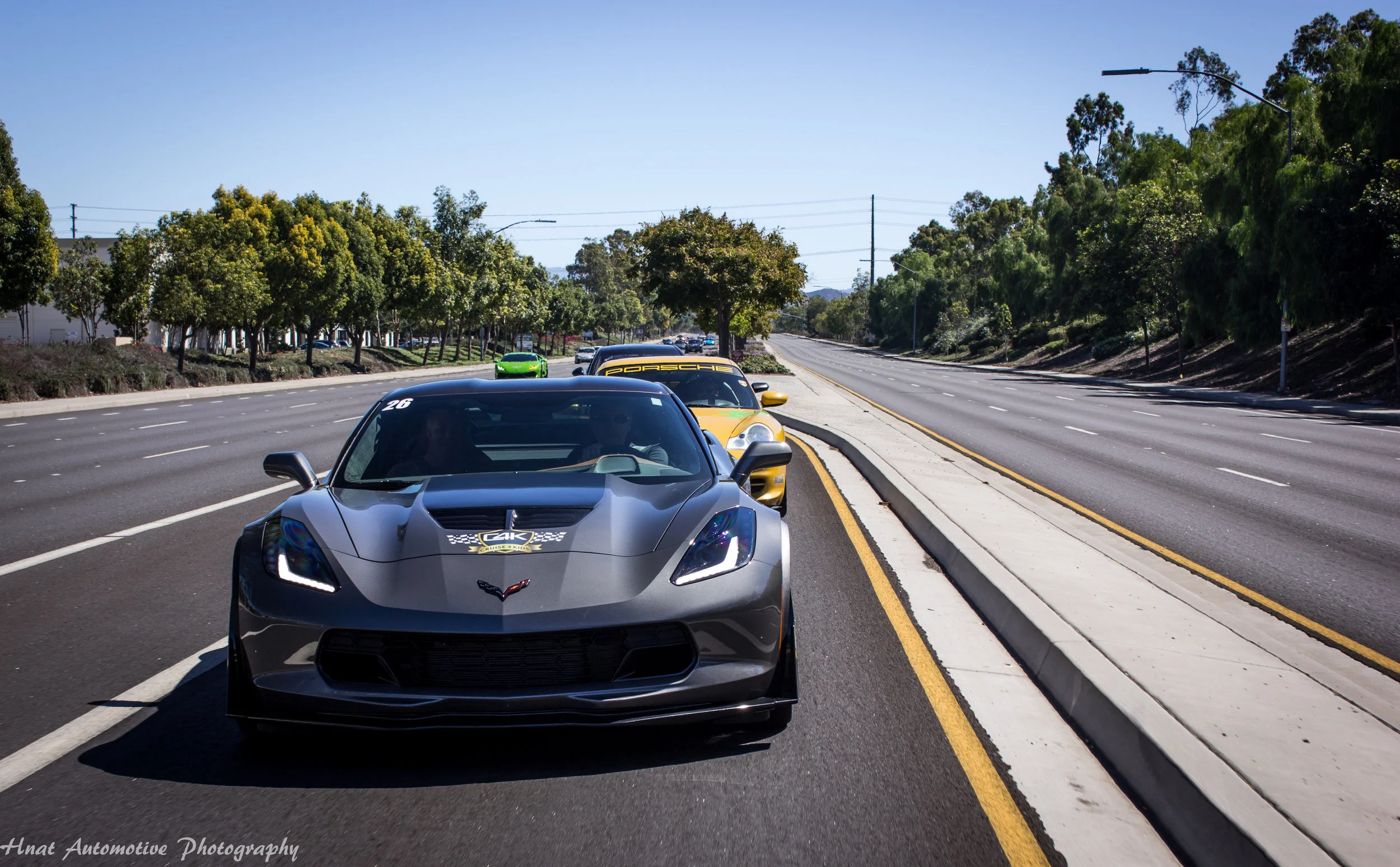 Z06 In Line W.jpg