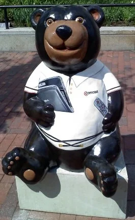 bear.jpg