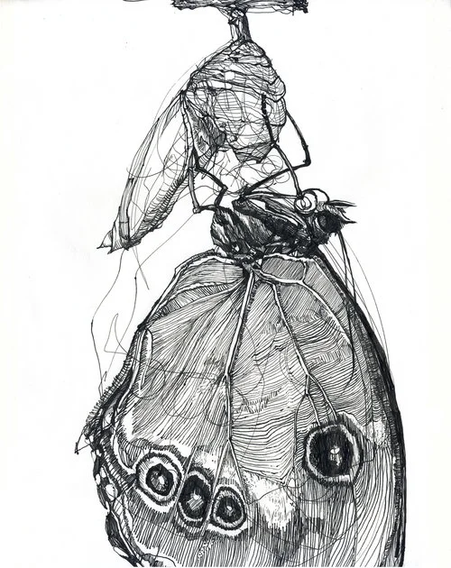 Metamorphosis