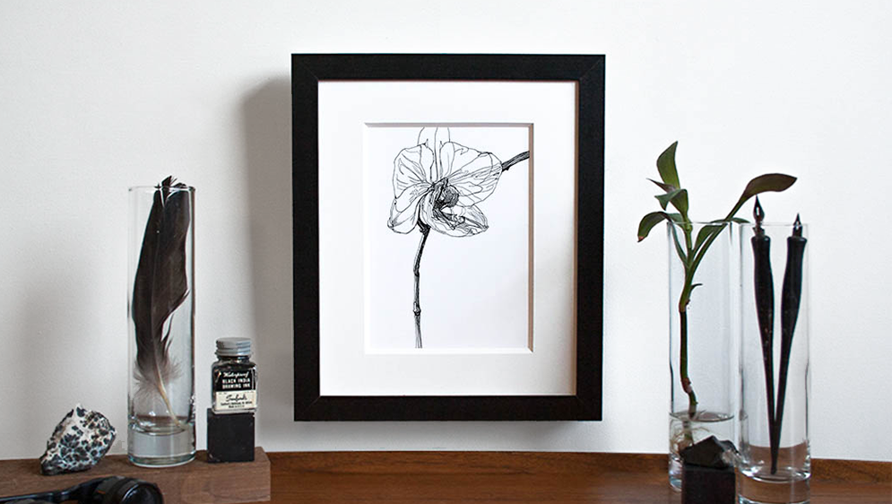 Melissa_Carmon_Art_Orchid_1_Flower_Drawing.png